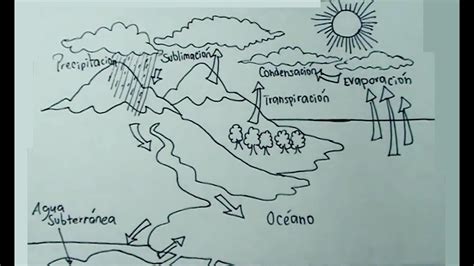 gráfico Indomable Remontarse ciclo del agua dibujo facil Inspección Compatible con comerciante