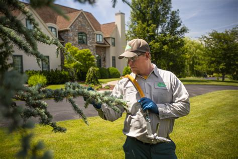 Understanding Fungus Treatments for Trees & Shrubs: Do They Really Work?