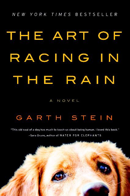 The Art of Racing in the Rain Book Banning Debate Continues - Books In Common