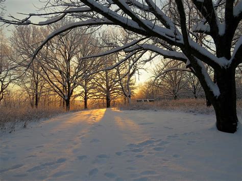 Snowy morning | Snowy morning view near the refuge overlook … | Flickr