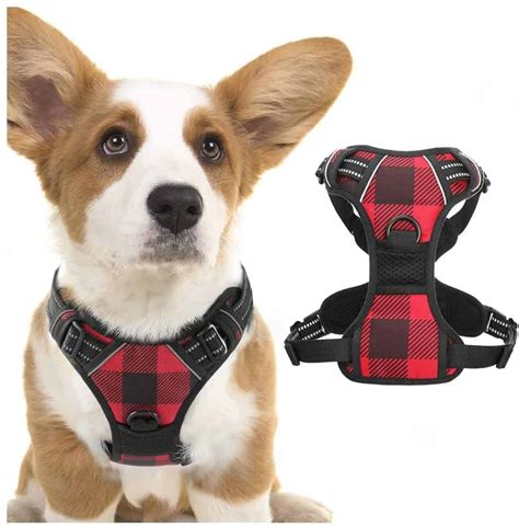 7 Best Small Dog Harnesses: Little Guys Rule (2023 Buyers Guide ...