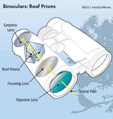 [Download 19+] Binoculars How To Use