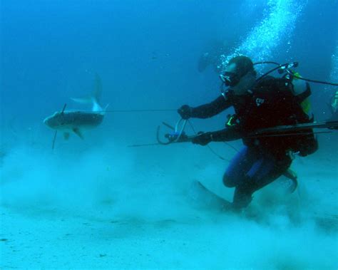 Diving For Fun - Spear Fishing Specialty Details