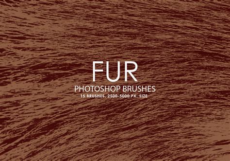 Free Fur Photoshop brushes - Free Photoshop Brushes at Brusheezy!