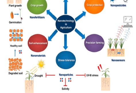 Nanotechnology applications in agriculture. | Download Scientific Diagram