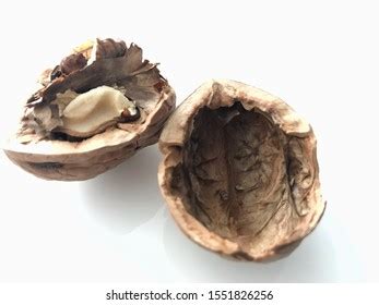 Broken Walnut Inside Walnut Shell On Stock Photo 1551826256 | Shutterstock