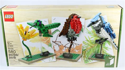 Review: LEGO Ideas 21301 Birds - Jay's Brick Blog