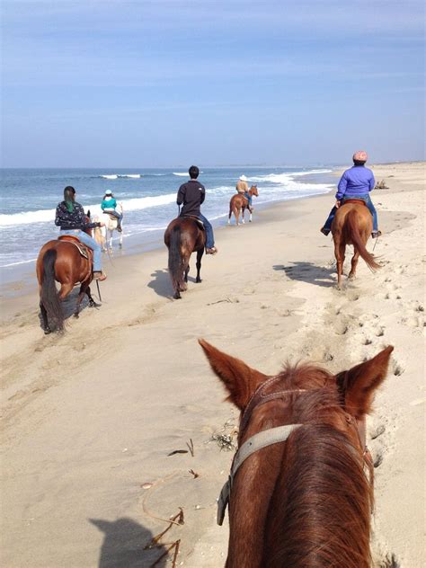 Chaparral Corporation | horseback riding | South padre island ...