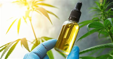 Cosmético de Cannabis (CBD): 10 razões para conhecer e consumir - Don Alcides