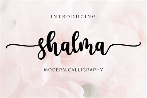 Shalma Modern Calligraphy Font - Dafont Free