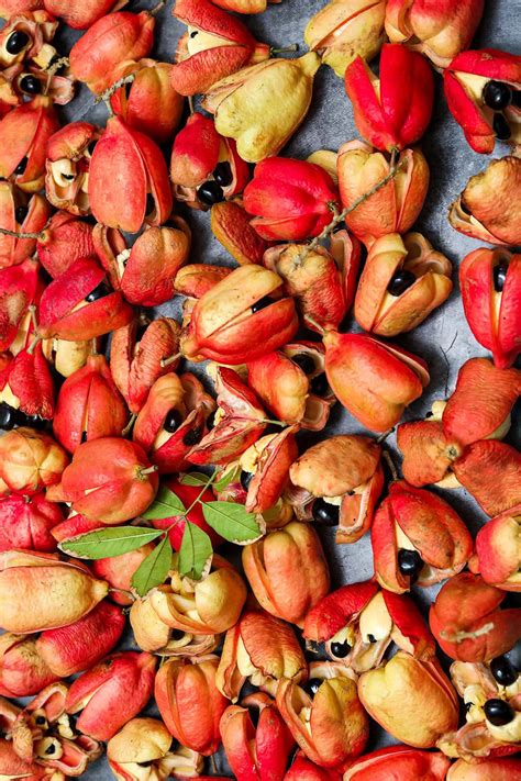 What Is Ackee - Healthier Steps