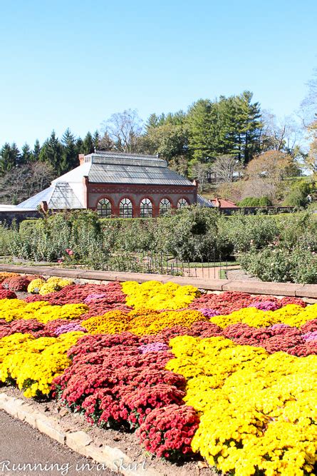 Biltmore Estate Gardens in Fall