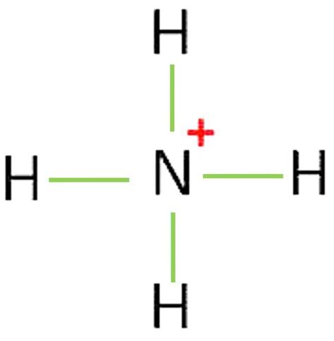 What is the Lewis Structure for NH4+? - brainly.com