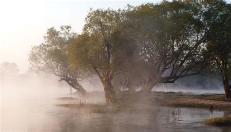 Kafue River Camp in Zambia