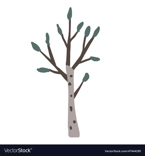 Hand drawn birch tree icon doodle Royalty Free Vector Image