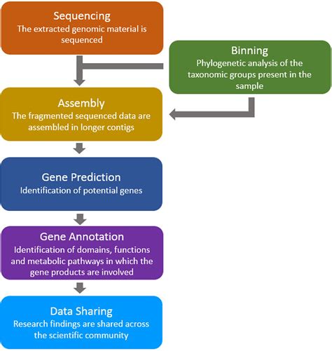 Frontiers | A Review of Bioinformatics Tools for Bio-Prospecting from Metagenomic Sequence Data