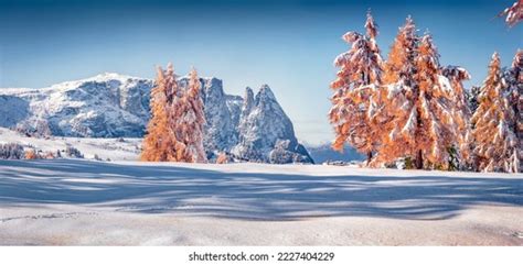 Panoramic Winter View Alpe Di Siusi Stock Photo 2227404229 | Shutterstock