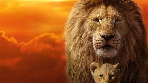 HD wallpaper: lion, cute, baby, lion king, father | Wallpaper Flare