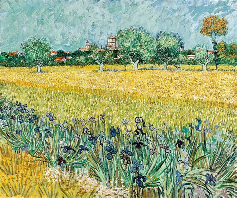 View of Arles with irises | Artist van gogh, Vincent van gogh paintings, Van gogh art