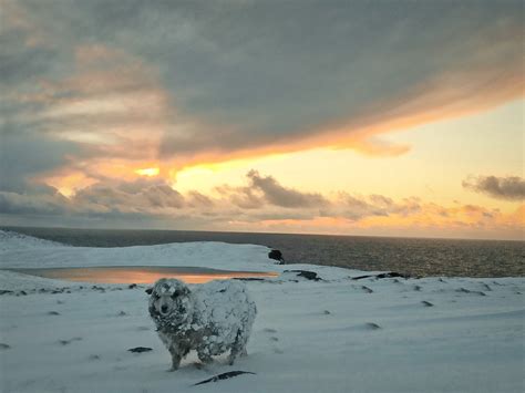 Shetland in the snow | Shetland.org