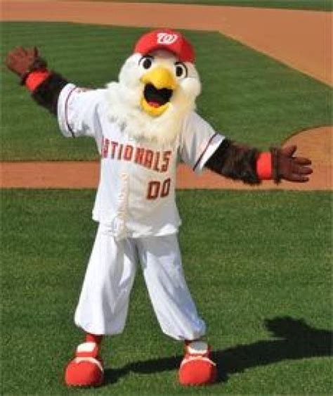 Washington Nationals – Screech - SportMascots.com