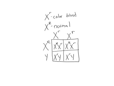 VIDEO solution:In humans, red-green color blindness is an X-linked recessive trait. If a man ...