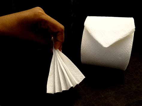 Accessorize your toilet rolls with Toilet Paper Origami {Tutorial ...