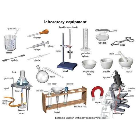 20 Common School Science Laboratory Equipment - Laboratory Deal ...