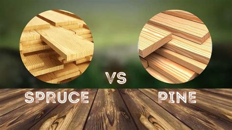 Spruce vs Pine: A Comprehensive Comparison