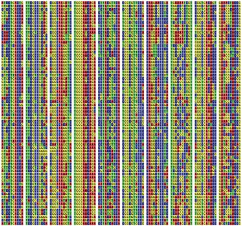 DNA sequence alignment stock illustration. Illustration of acid - 133742766