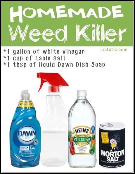 Weed Killer For Vegetable Garden | The Garden