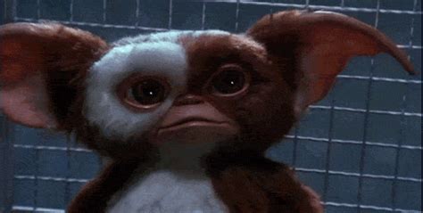 Surprised GIF - Gremlins Picture Funny - Scopri e condividi GIF