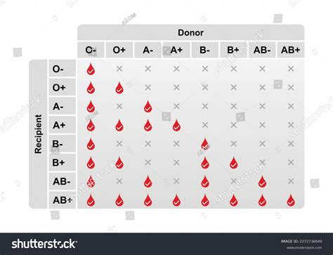 Abo Blood Compatibility Chart Concept Design Stock Vector (Royalty Free ...