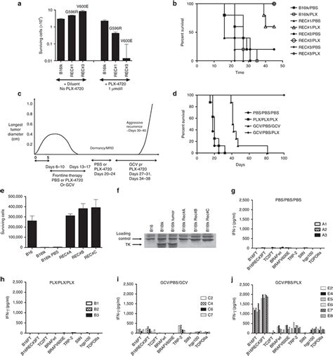 BRAF mutant melanoma recurrences can be treated by chemotherapy. (a ...