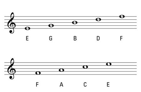 How To Learn The Bass Clef Quickly - Morris Phillip's Reading Worksheets