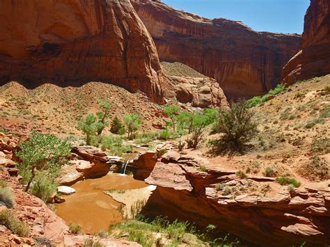 5 Best Hikes at Escalante National Monument | by Darin Gatlin | Mar ...