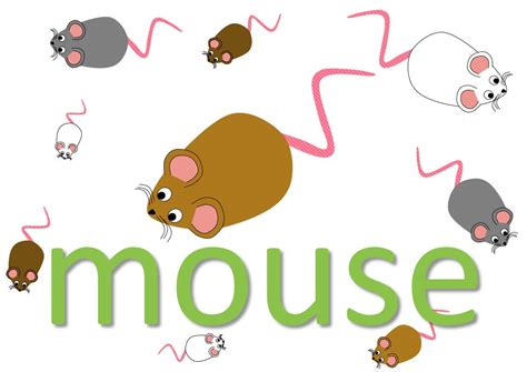 Mouse idioms and expressions - Mingle-ish