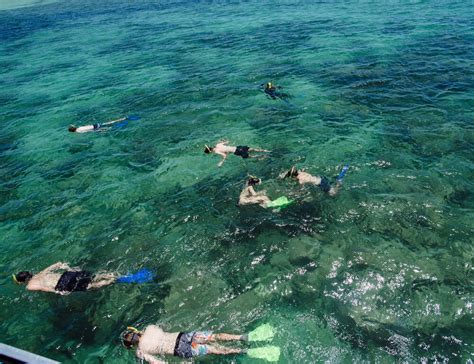 Snorkelling Green Island | #1 Thing to do in Cairns | Tropical Green Island