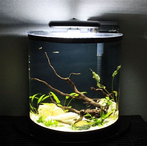 Marineland Half Moon Aquarium - FinestFishTanks.com | 20 gallon aquarium, 20 gallon long ...