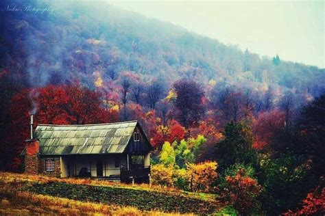 Fall in the north GA mountains | Beauty of Georgia | Pinterest