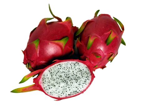 Dragon Fruit White – Koerner Agro Export Center