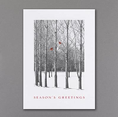 Cardinal Christmas Cards Holiday Business Discount Greetings