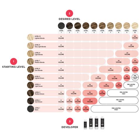 Hair Dye Developer Chart - price-list-gadget