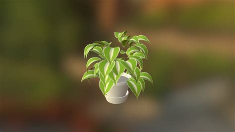 Indoor Plant - Download Free 3D model by Malek Almsri (@malekalmsri ...