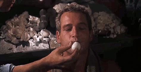 Paul Newman Egg GIF - Find & Share on GIPHY