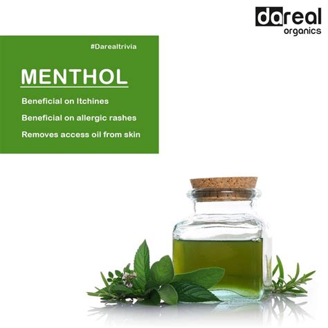 Benefits of Menthol ! (With images) | India school, School fun, School list