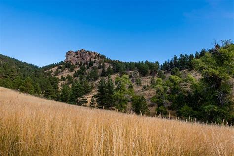 The Trails Around Horsetooth Reservoir Stock Photo - Image of front, lory: 141492546