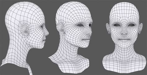 Making Of 'Old Man' by Frederic Scarramazza | Face topology, Cheek acne, Topology