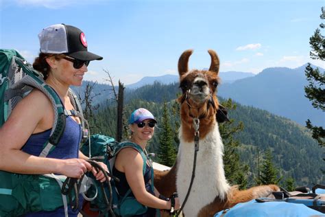 Llama Trekking Guide | Swan Mountain Outfitters