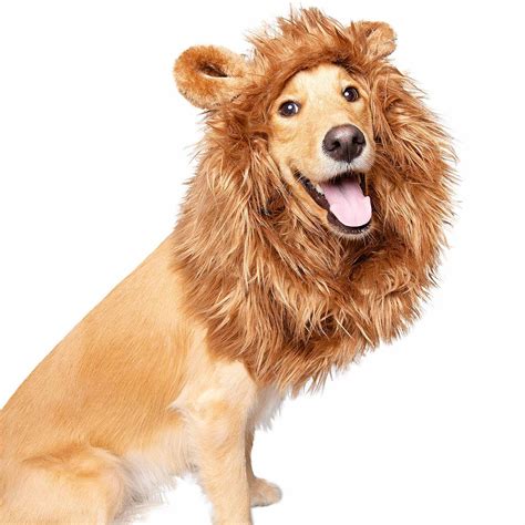 Pet Krewe Lion Mane Costume with Ears - Mediu... | BaxterBoo